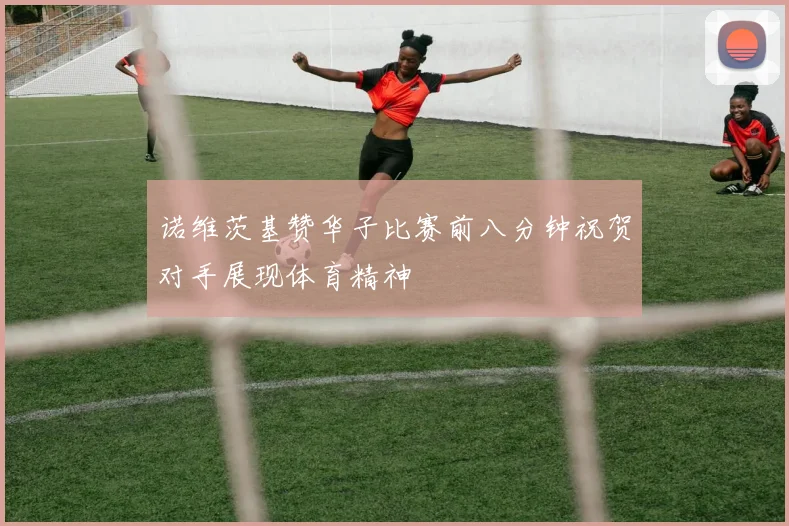 诺维茨基赞华子比赛前八分钟祝贺对手展现体育精神