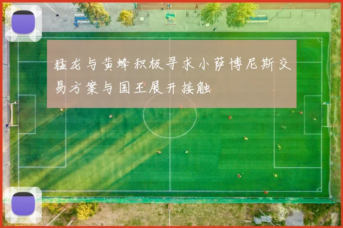 猛龙与黄蜂积极寻求小萨博尼斯交易方案与国王展开接触