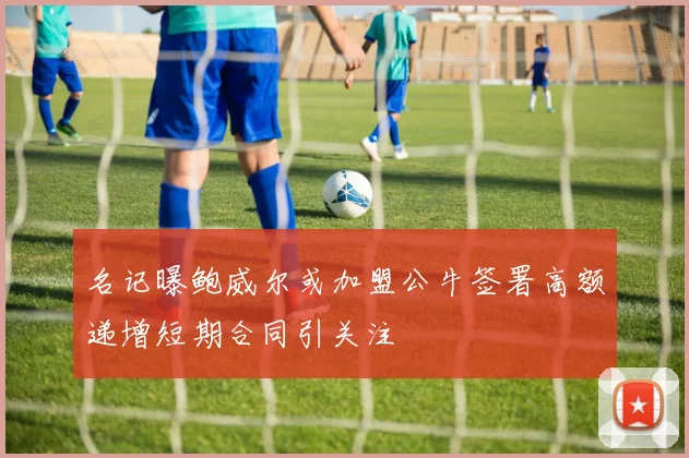 名记曝鲍威尔或加盟公牛签署高额递增短期合同引关注