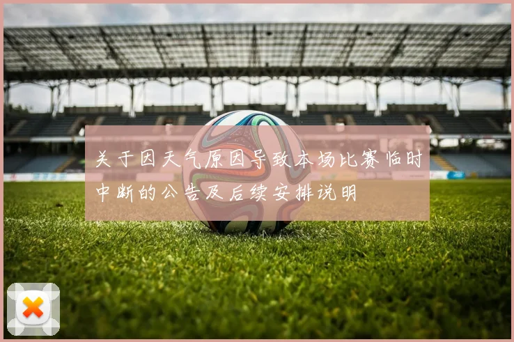 关于因天气原因导致本场比赛临时中断的公告及后续安排说明